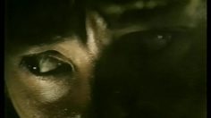 poster-10661-sky-perfectv-fishing-236x132