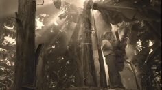 poster-10662-waitrose-bananas-236x132