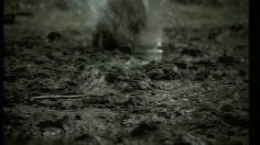 poster-10681-bic-comfort-twin-fugitive-236x132