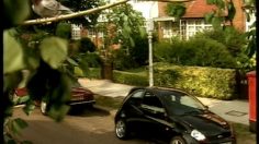 poster-10689-ford-ka-sport-bird-236x132