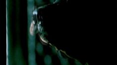 poster-10702-bbc-2-if-if-236x132