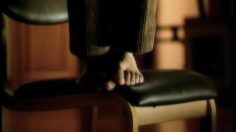 poster-1072-peacock-chaise-legs-236x132