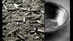 poster-10731-medecins-sans-frontieres-msf-bullet-236x132