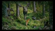 poster-10736-nokian-the-fountain-of-youth-236x132