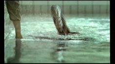 poster-10742-protection-environnement-protection-de-l-eau-water-injustice-236x132