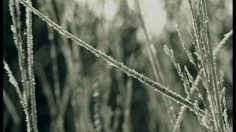 poster-1077-protection-enfance-disabled-childrend-s-fund-of-slovakia-aveugle-236x132