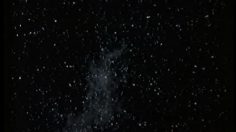 poster-10785-superinteressante-sneeze-236x132