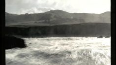 poster-10790-nike-magnet-236x132