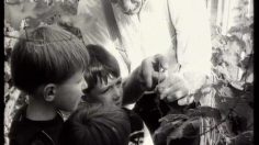 poster-1081-uap-photo-de-famille-236x132