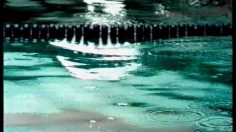 poster-10819-mcdonald-s-swimming-236x132