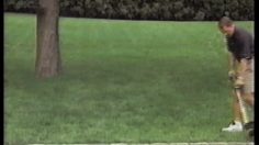 poster-10821-motorola-web-wo-wire-bill-cowher-236x132