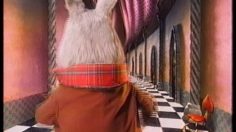 poster-10828-anti-violence-anti-armes-a-feu-alice-236x132