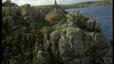 poster-10835-sharp-cantona-et-les-mouettes-236x132