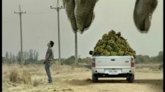 poster-10840-ford-ranger-opencab-king-kong-236x132