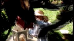 poster-10851-suntrust-squirrel-236x132