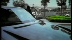 poster-10858-zebra-hold-up-236x132