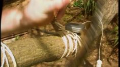 poster-10872-ozon-cool-mints-le-poisson-pendu-236x132