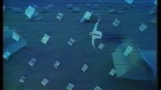 poster-10896-teacher-training-reves-236x132