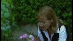 poster-10904-renault-clio-e-t-236x132