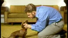 poster-10909-united-paramount-network-upn-jimmy-stiffy-236x132