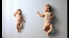 poster-10920-fotoprix-babies-236x132