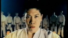 poster-10925-anti-drogue-prevention-cannabis-karate-236x132