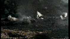 poster-10935-pirelli-p6000-sauvage-pneus-1-236x132