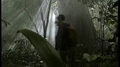 poster-10946-bnp-paribas-dinosaures-236x132