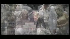 poster-10948-volkswagen-passat-voisin-charles-236x132