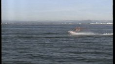 poster-10953-protection-environnement-jet-ski-236x132