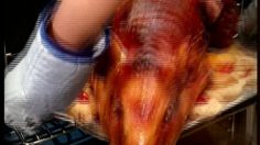 poster-1105-general-electric-ge-pig-236x132