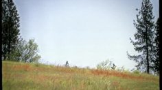 poster-11068-museum-of-flight-musee-sur-le-velo-236x132