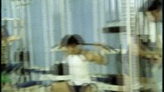 poster-11080-fiat-punto-sound-la-salle-de-gym-236x132