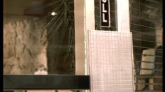 poster-11096-mini-bulldog-236x132