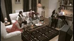 poster-11118-zwan-stick-236x132