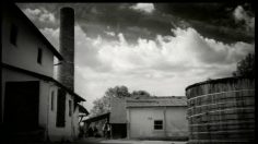 poster-11120-chilli-s-mobylette-236x132