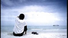 poster-11123-livita-vitamines-powerful-236x132