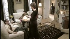 poster-11125-zwan-feu-236x132