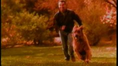 poster-11190-budweiser-only-the-best-for-fred-236x132