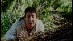 poster-11193-bud-light-elephant-cricket-236x132