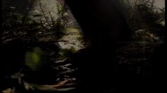 poster-11200-bud-light-jungle-236x132