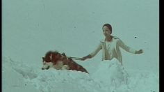 poster-11205-dim-collants-neige-236x132