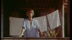 poster-11233-danone-veloute-la-pluie-d-ete-236x132