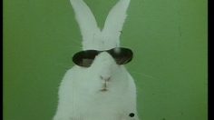 poster-11239-cassegrain-salades-de-legumes-les-melanges-de-salades-236x132