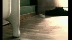 poster-11245-ikea-reproduction-236x132