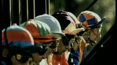 poster-11251-audi-s3-quattro-horses-236x132