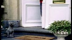 poster-11257-lotto-riches-pas-habitues-film-1-236x132