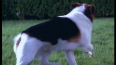 poster-11264-centraal-beheer-bridge-236x132