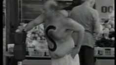 poster-11268-adidas-s-comme-yankees-236x132