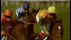 poster-11283-pmu-pariez-spot-supporters-236x132